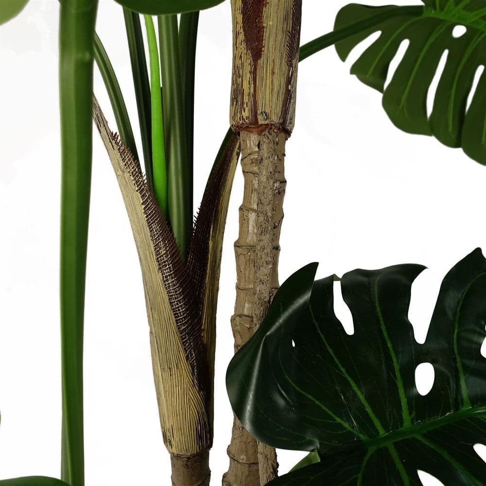 image-150cm (5ft) Luxury Monstera Cheese Plant Black Pot