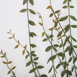 image-Pack of 12 x 120cm Artificial Hanging Extra Long String of Pearls