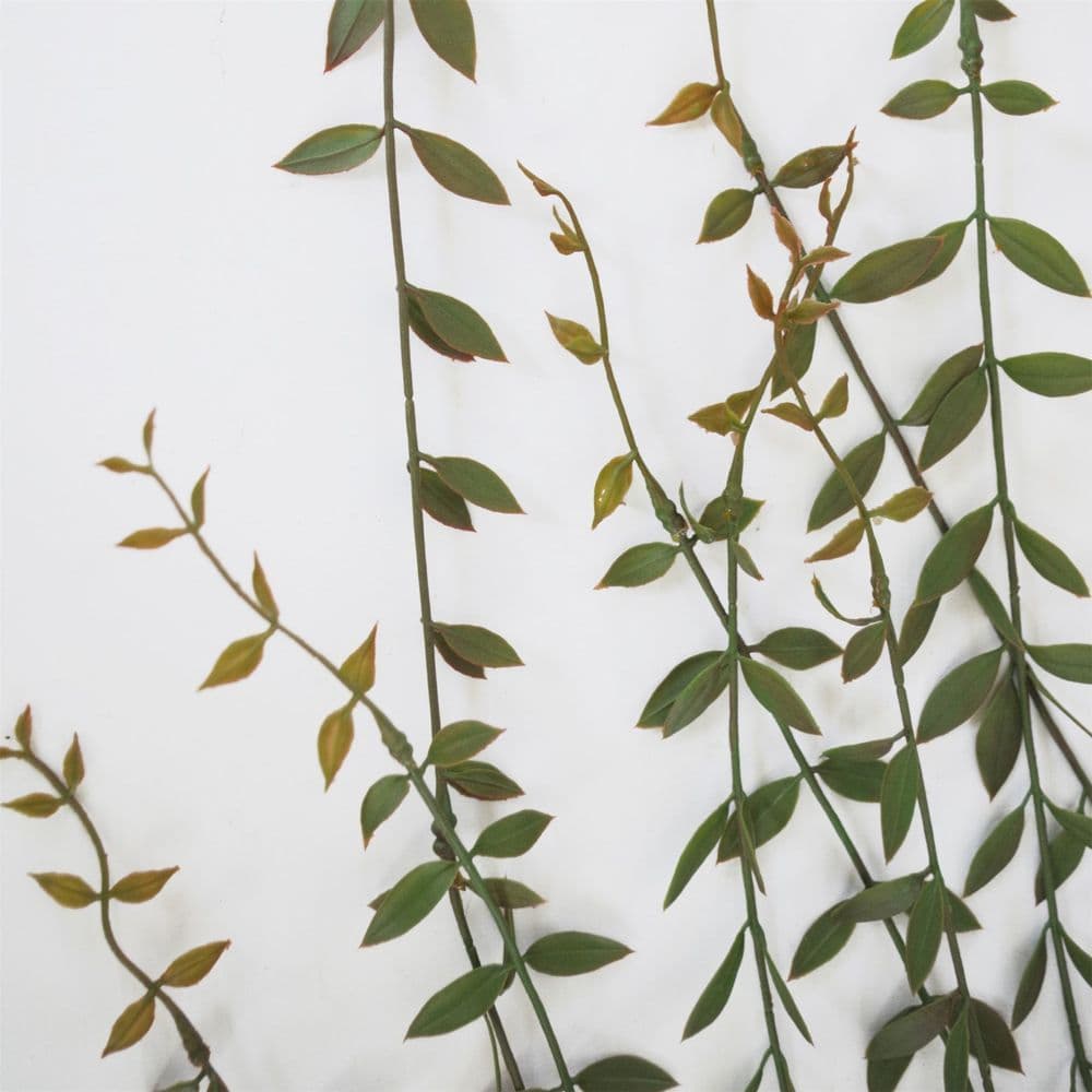 image-Pack of 12 x 120cm Artificial Hanging Extra Long String of Pearls