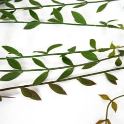 image-Pack of 12 x 120cm Artificial Hanging Extra Long String of Pearls