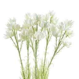 image-Pack of 6 x 60cm White Starflower Stem - 30 Flowers