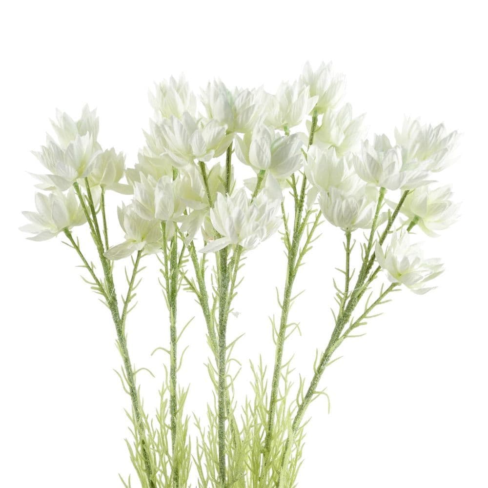 image-Pack of 6 x 60cm White Starflower Stem - 30 Flowers
