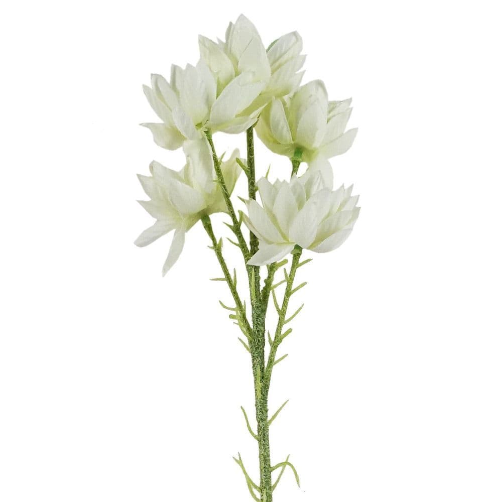 image-Pack of 6 x 60cm White Starflower Stem - 30 Flowers