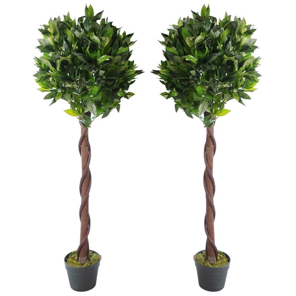 image-Pair of 120cm (4ft) Twisted Stem Artificial Topiary Bay Laurel Ball Trees