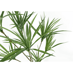 image-125cm Dragon Tree Dracaena Plant Natural Look Artificial
