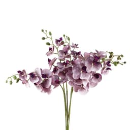 image-Pack of 6 x 100cm Artificial Phalaenopsis Orchid Purple Stem - 42 Flowers