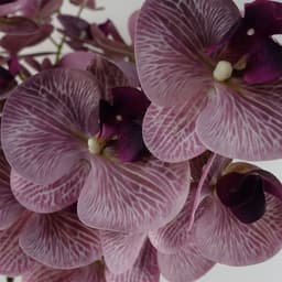 image-Pack of 6 x 100cm Artificial Phalaenopsis Orchid Purple Stem - 42 Flowers
