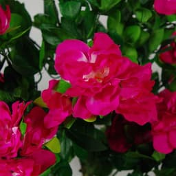 image-100cm Realistic Artificial Azalea Pink Flowers Potted Plant with Silver Metal Planter