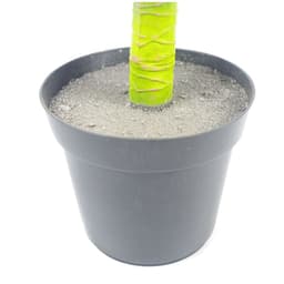 image-90cm (3ft) Large Artificial Green Yukka Plant Spiky Tree Plant
