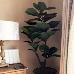 image-120cm (4ft) Large Artificial Fiddle Fig Tree Ficus Evergreen Plant