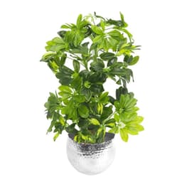 image-75cm Artificial Arboricola Gold Capella Plant - Silver Metal Planter