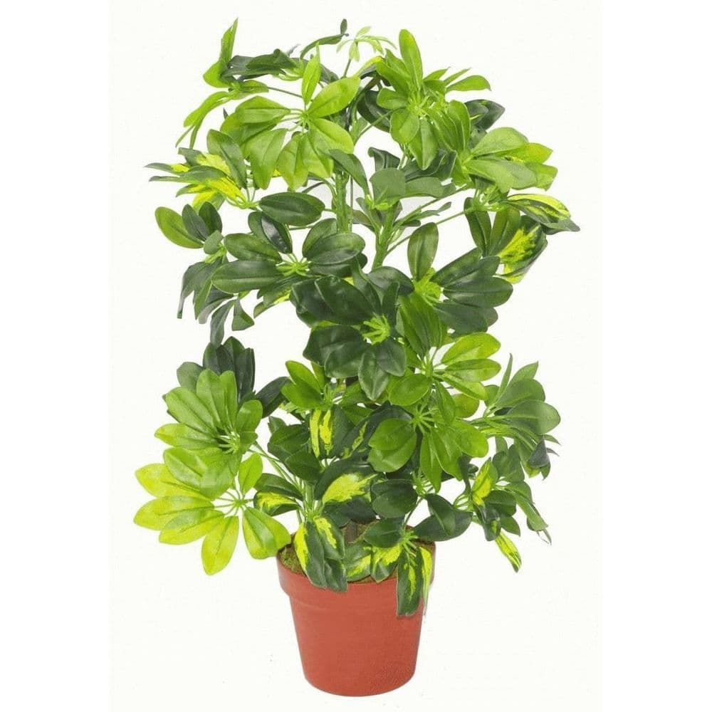 image-75cm Artificial Arboricola Gold Capella Plant - Silver Metal Planter