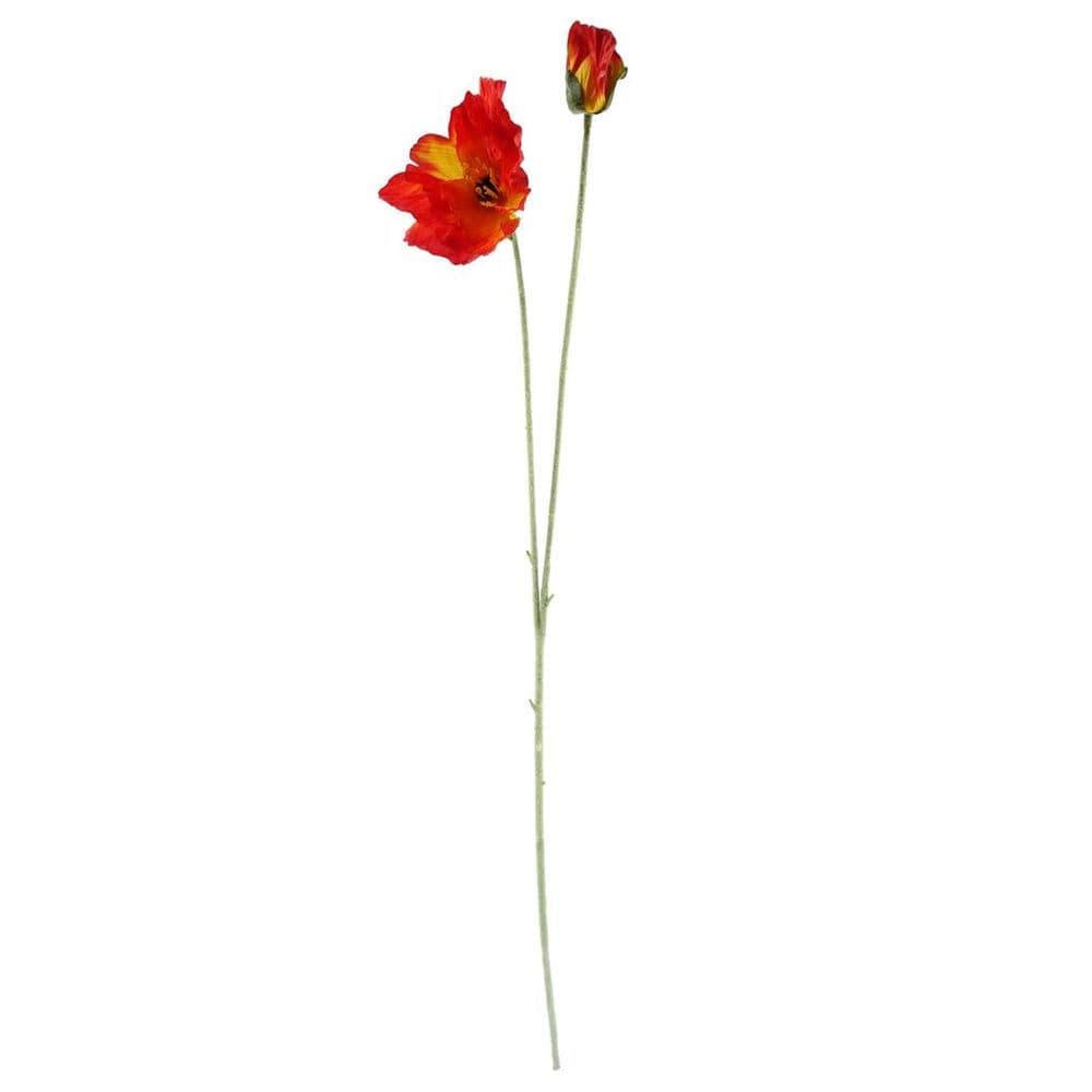 image-100cm Red Poppy and Fern Glass Vase