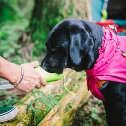 image-Dog Coats Small Waterproof,Warm Outfit Clothes Dog Jackets Small,Adjustable Drawstring Warm And Cozy Dog Sport Vest-(pink,size L)