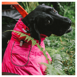 image-Dog Coats Small Waterproof,Warm Outfit Clothes Dog Jackets Small,Adjustable Drawstring Warm And Cozy Dog Sport Vest-(pink,size L)