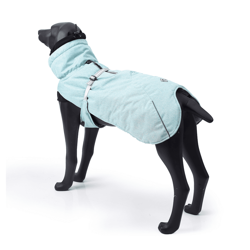 image-New Style Dog Winter Jacket with Waterproof Warm Polyester Filling Fabric--(Blue,size L)