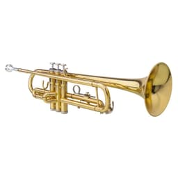 image-Drop B Tone Adjustable Trumpet Gloves Set Plaint Golden