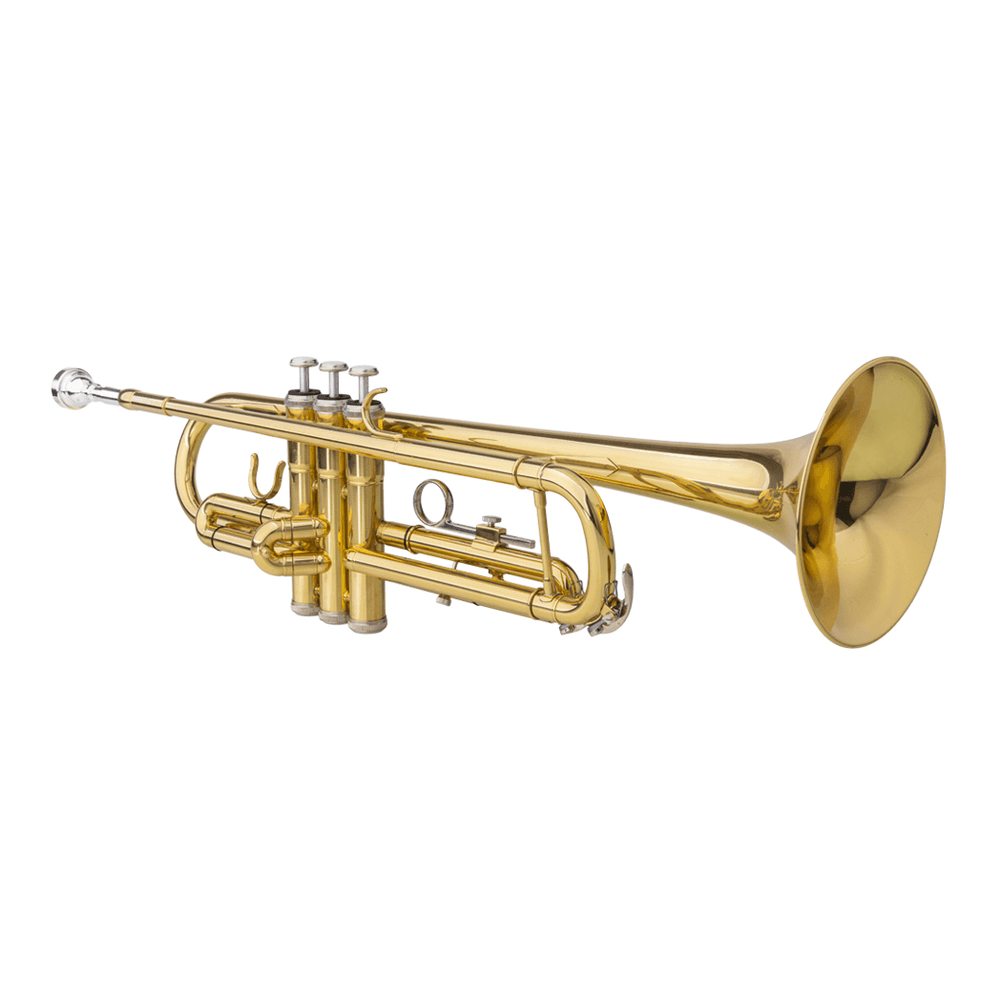 image-Drop B Tone Adjustable Trumpet Gloves Set Plaint Golden