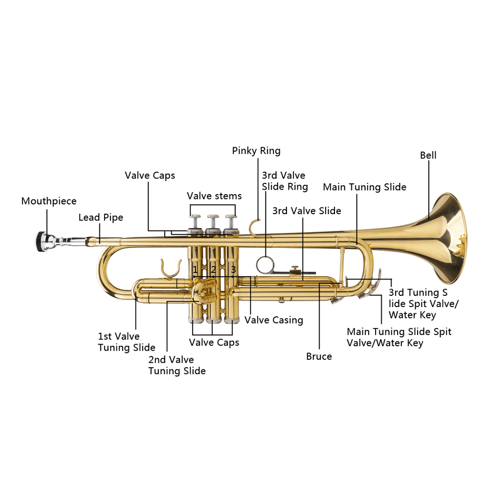 image-Drop B Tone Adjustable Trumpet Gloves Set Plaint Golden