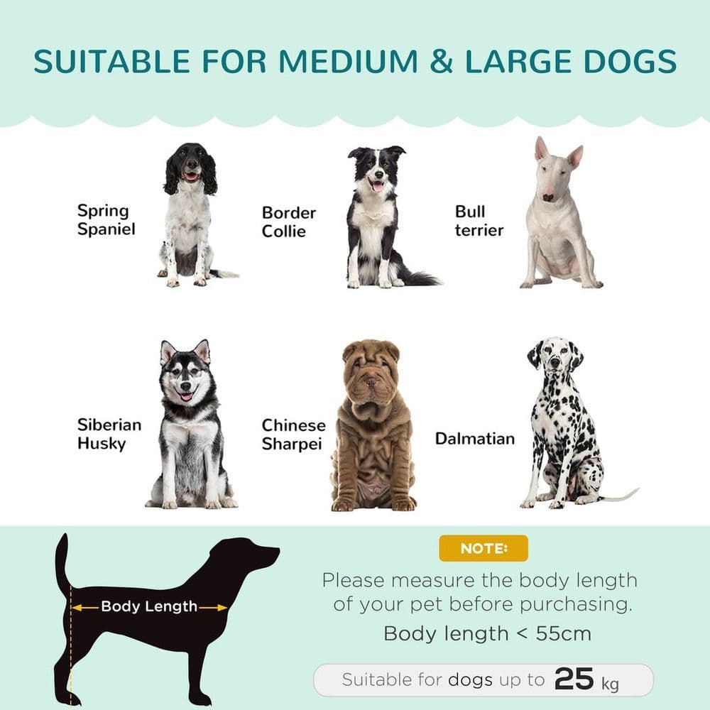 image-PawHut Dog Sofa, Pet Couch Bed for Medium, Large Dogs w/ Legs, Cushion - Green