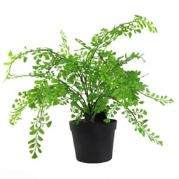 image-35cm Artificial Potted Fern Plant (Southern Maidenhair Fern)