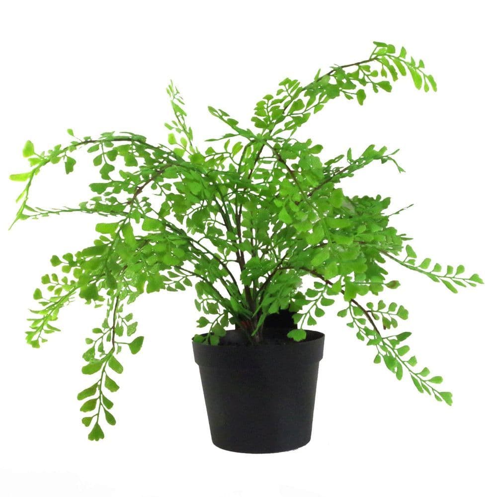 image-35cm Artificial Potted Fern Plant (Southern Maidenhair Fern)