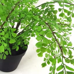 image-35cm Artificial Potted Fern Plant (Southern Maidenhair Fern)