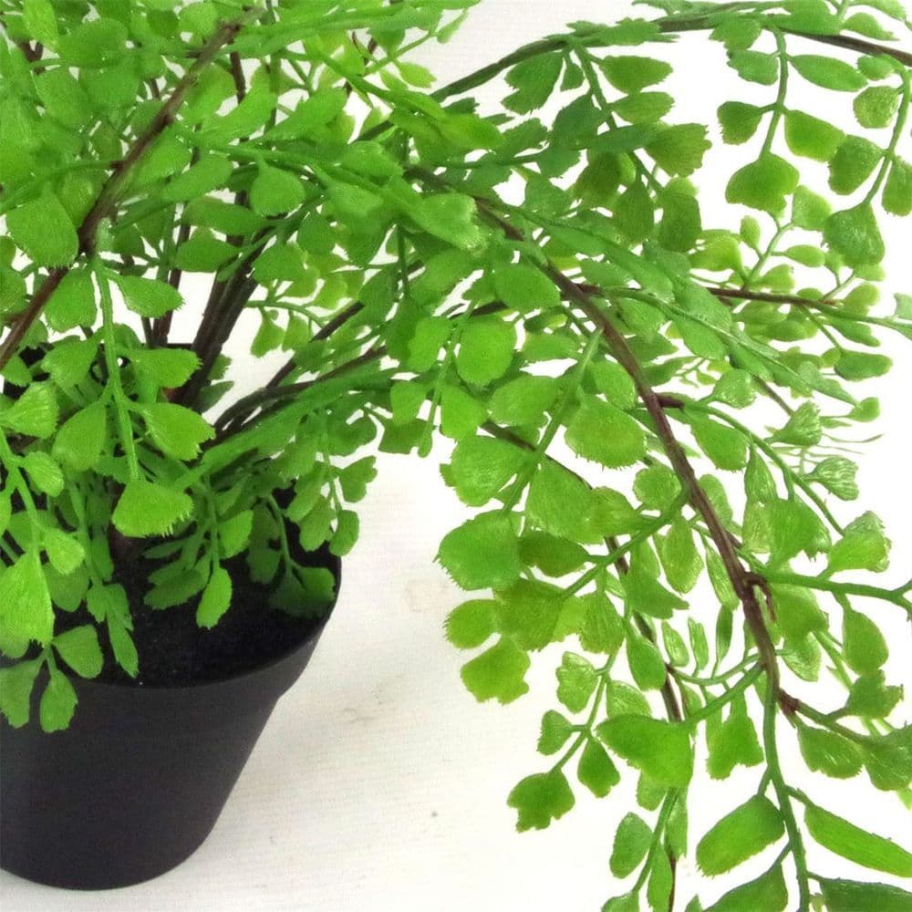 image-35cm Artificial Potted Fern Plant (Southern Maidenhair Fern)