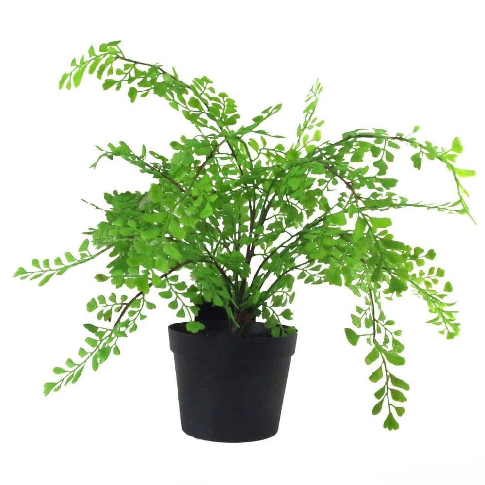 image-35cm Artificial Potted Fern Plant (Southern Maidenhair Fern)