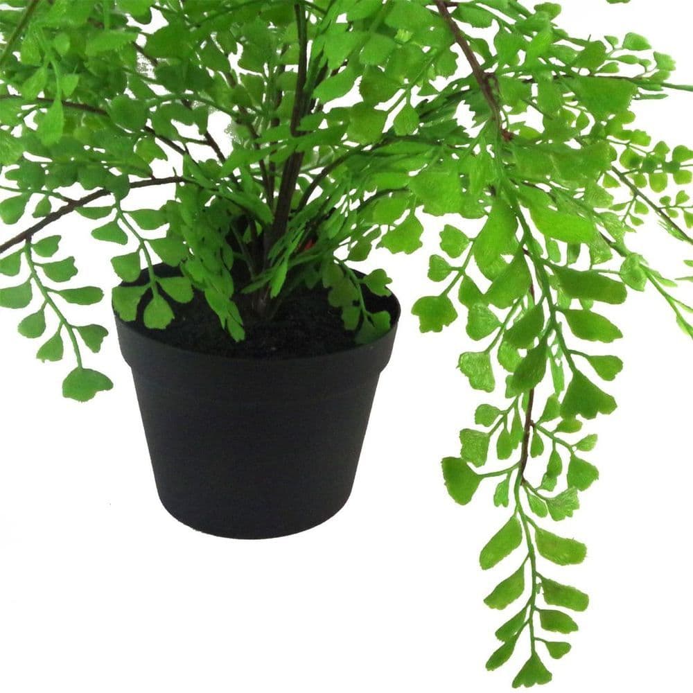 image-35cm Artificial Potted Fern Plant (Southern Maidenhair Fern)