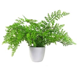 image-30cm Artificial Potted Royal Fern