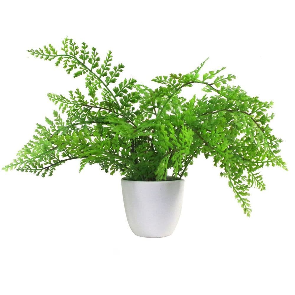 image-30cm Artificial Potted Royal Fern