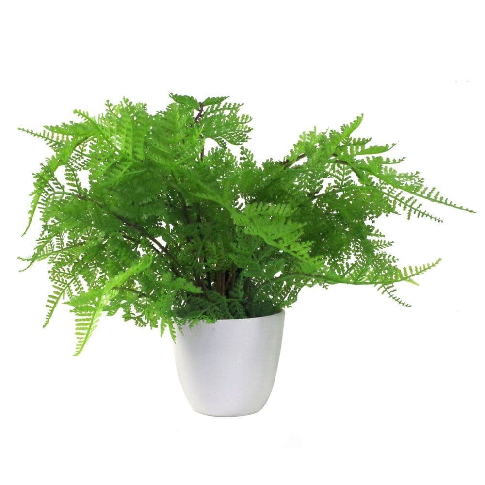 image-30cm Artificial Potted Lady Fern (Athyrium Filix-Femina)