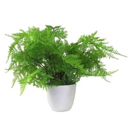 image-30cm Artificial Potted Lady Fern (Athyrium Filix-Femina)