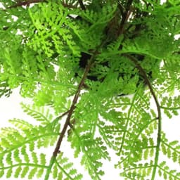 image-30cm Artificial Potted Lady Fern (Athyrium Filix-Femina)