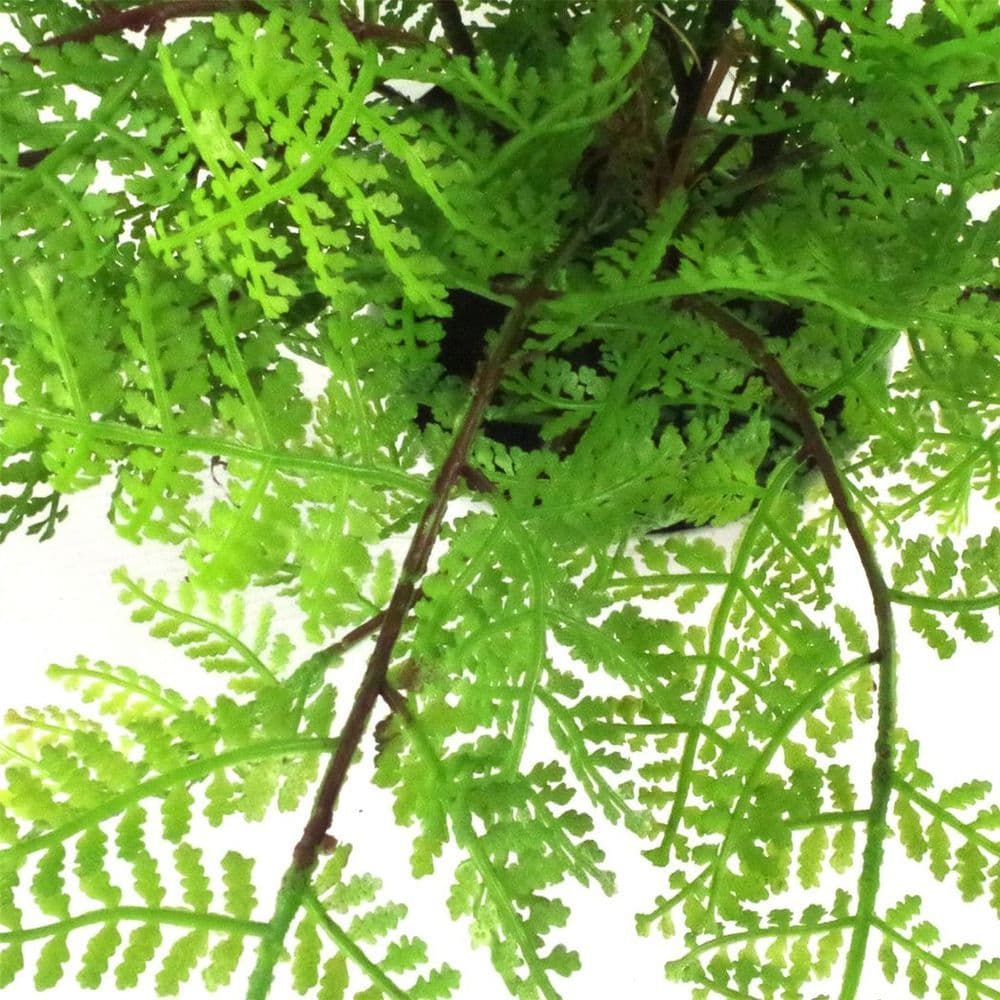 image-30cm Artificial Potted Lady Fern (Athyrium Filix-Femina)