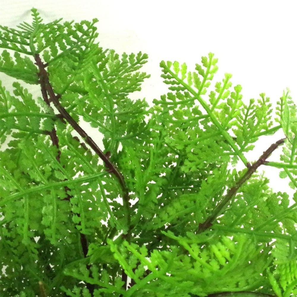 image-30cm Artificial Potted Lady Fern (Athyrium Filix-Femina)