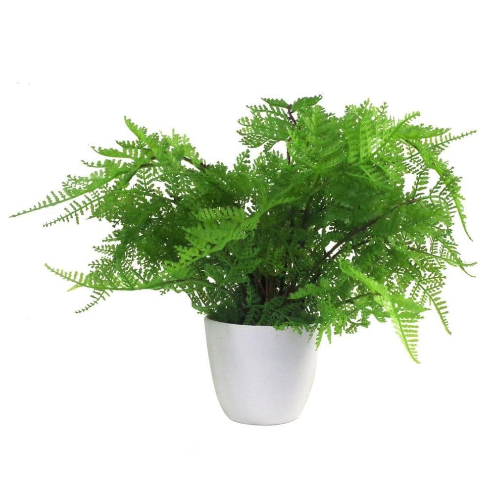 image-30cm Artificial Potted Lady Fern (Athyrium Filix-Femina)