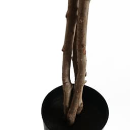 image-60cm Artificial Forsythia Tree