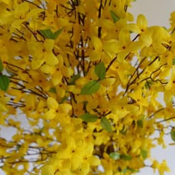image-60cm Artificial Forsythia Tree