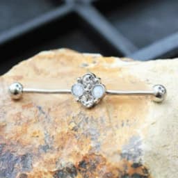 image-316L Stainless Steel Jeweled Flower Industrial Barbell