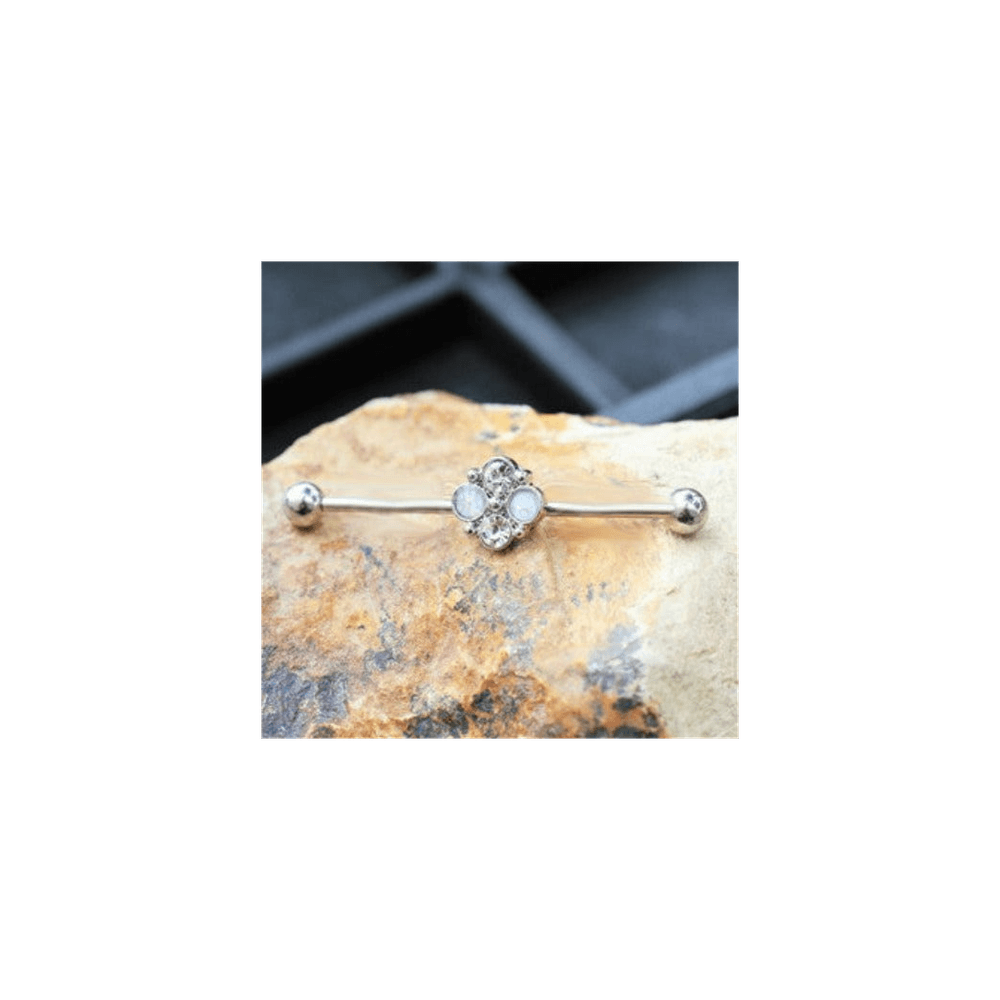 image-316L Stainless Steel Jeweled Flower Industrial Barbell