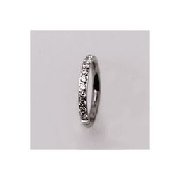 image-316L Stainless Steel Multi-Jeweled Seamless Clicker Ring