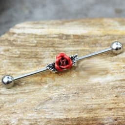 image-316L Stainless Steel Red Rose Industrial Barbell