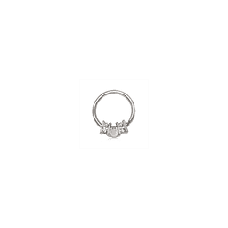image-316L Stainless Steel Ornate Multi-Jeweled Seamless Ring / Septum Ring