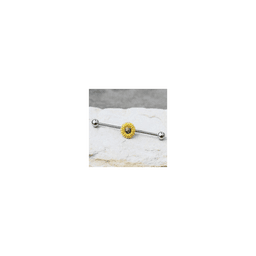 image-316L Stainless Steel Sunflower Industrial Barbell