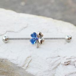 image-316L Stainless Steel Blue Clover Leaf Industrial Barbell