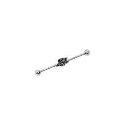 image-316L Stainless Steel Metal Rose Industrial Barbell