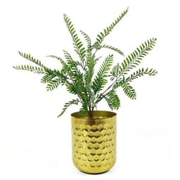 image-55cm Himilayan Maidenhair Fern Bush Dark Green Plant