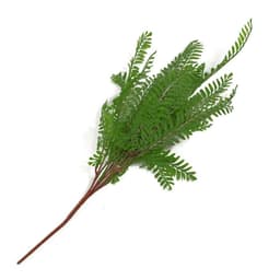 image-55cm Himilayan Maidenhair Fern Bush Dark Green Plant